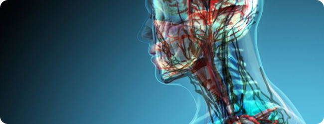 Rolfing è educarsi al dialogo con il proprio corpo. Rolfing è educarsi al dialogo con il proprio corpo.