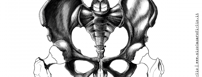 The Creation in the body The Creation in the body