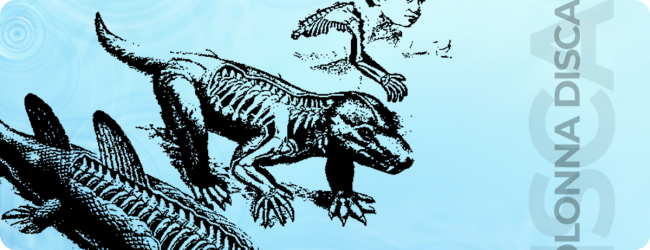 L´interazione fra colonna vertebrale e discale L´interazione fra colonna vertebrale e discale