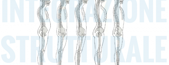 About the terms "Structural Integration" About the terms "Structural Integration"