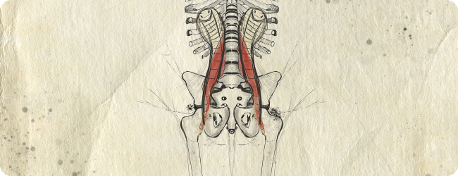 Food for thoughts on the term PSOAS Food for thoughts on the term PSOAS