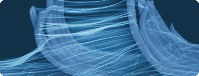 fascia courtesy joseph e. muscolino originally published in the massage therapy journal