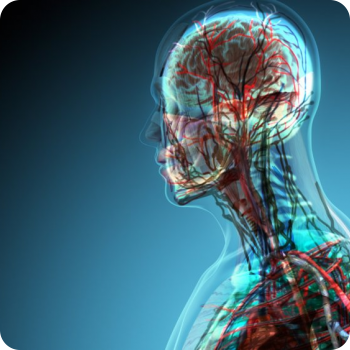 Rolfing è educarsi al dialogo con il proprio corpo. Rolfing è educarsi al dialogo con il proprio corpo.