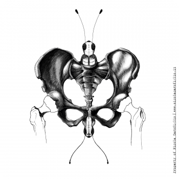 The Creation in the body The Creation in the body