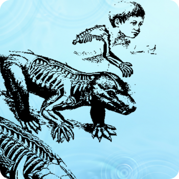 L´interazione fra colonna vertebrale e discale L´interazione fra colonna vertebrale e discale