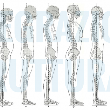About the terms "Structural Integration" About the terms "Structural Integration"